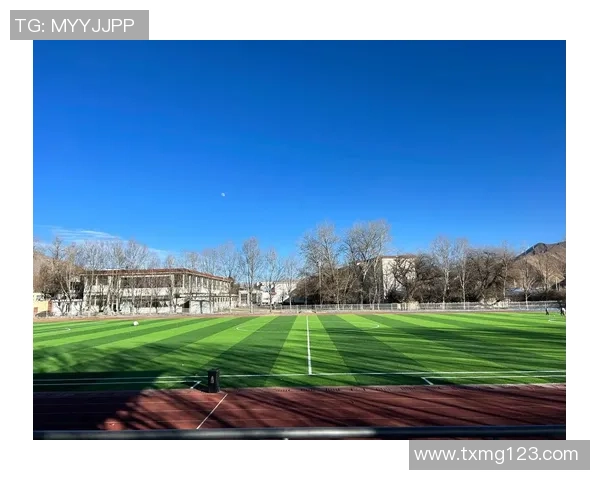 足球草坪花纹设计的艺术与科学探讨以及对比赛效果的影响分析